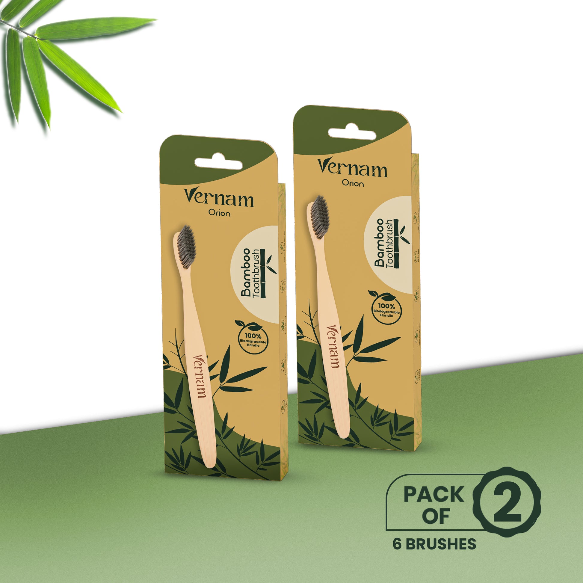 ORION Bamboo Charcoal Toothbrush (Pack of 3)