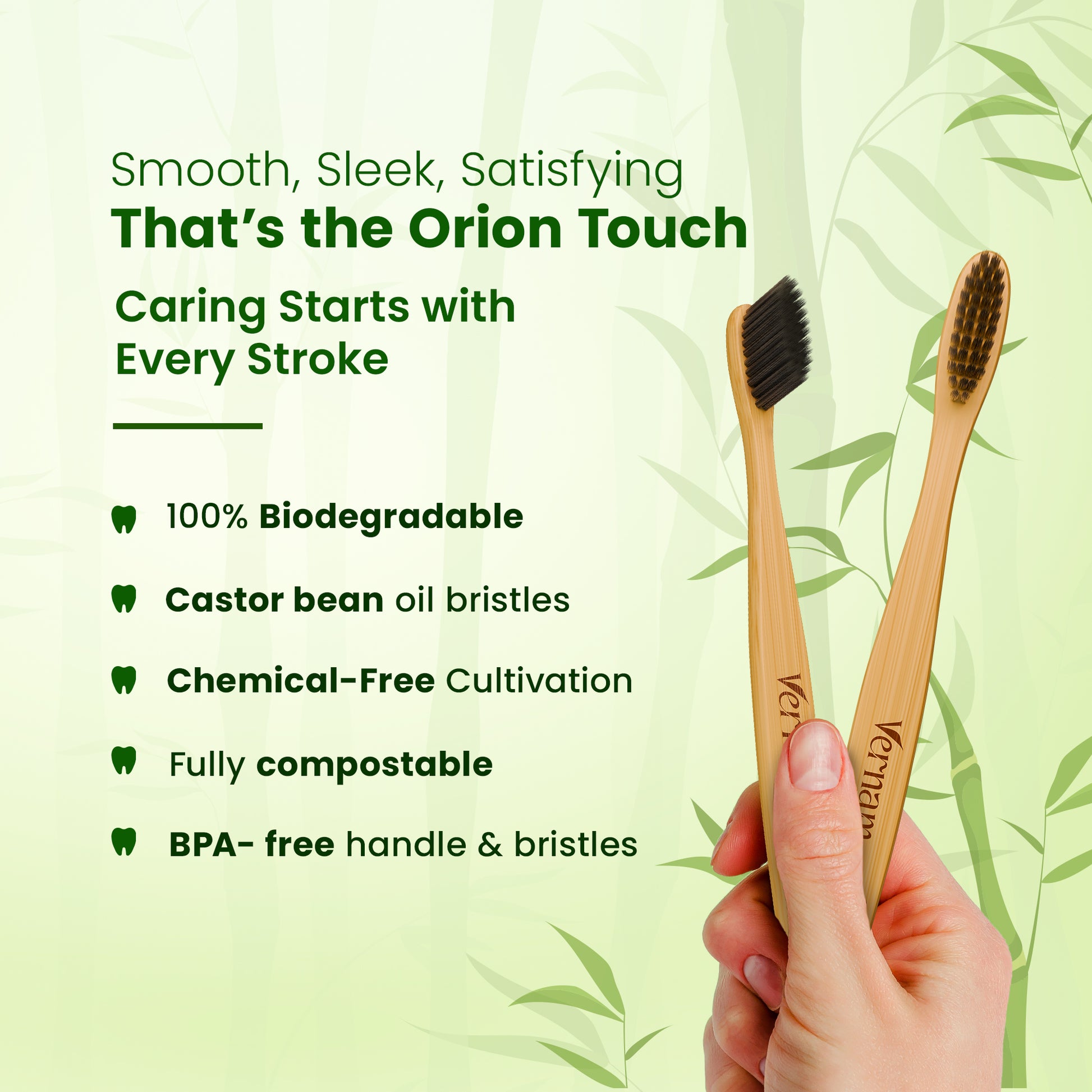 ORION Bamboo Charcoal Toothbrush (Pack of 3)