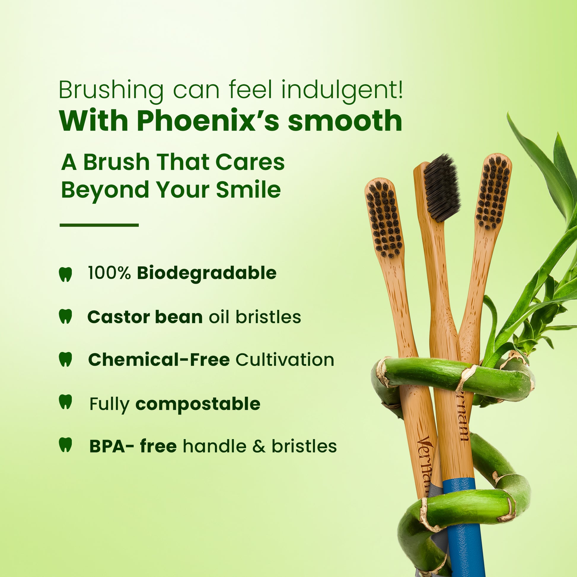 Phoenix Bamboo Charcoal Toothbrush (Pack of 3)