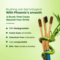 Phoenix Bamboo Charcoal Toothbrush (Pack of 3)