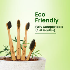 ORION Bamboo Charcoal Toothbrush (Pack of 3)
