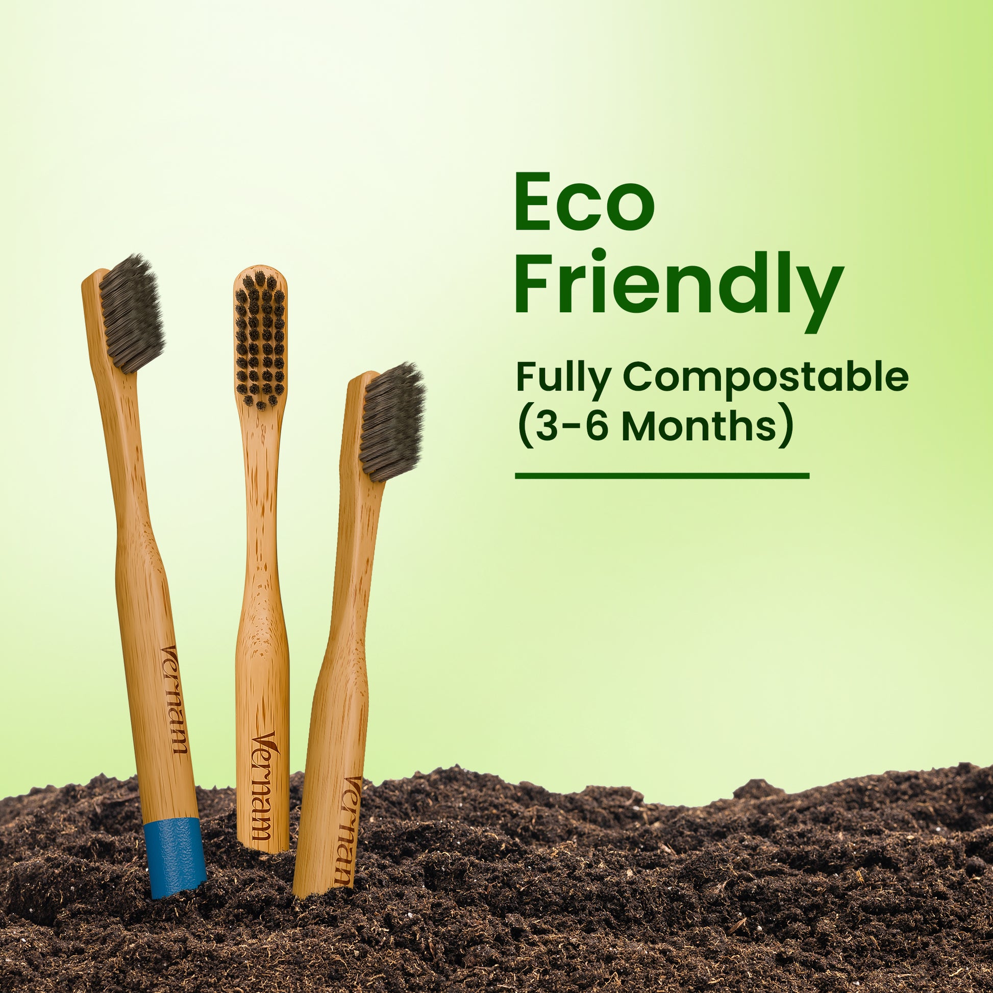 Phoenix Bamboo Charcoal Toothbrush (Pack of 3)