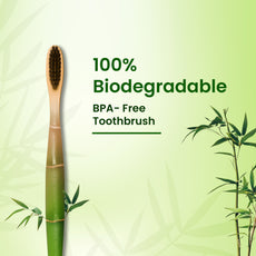 ORION Bamboo Charcoal Toothbrush (Pack of 3)