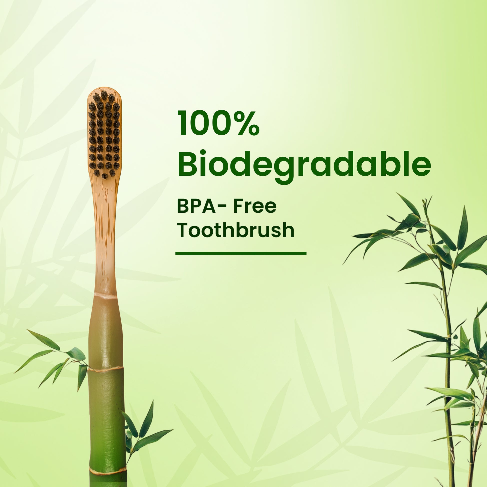 Phoenix Bamboo Charcoal Toothbrush (Pack of 3)