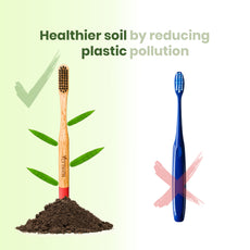 Phoenix Bamboo Charcoal Toothbrush (Pack of 3)