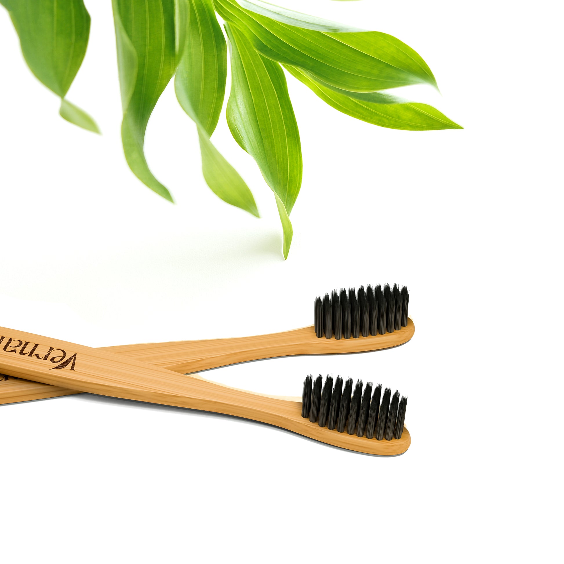ORION Bamboo Charcoal Toothbrush (Pack of 3)