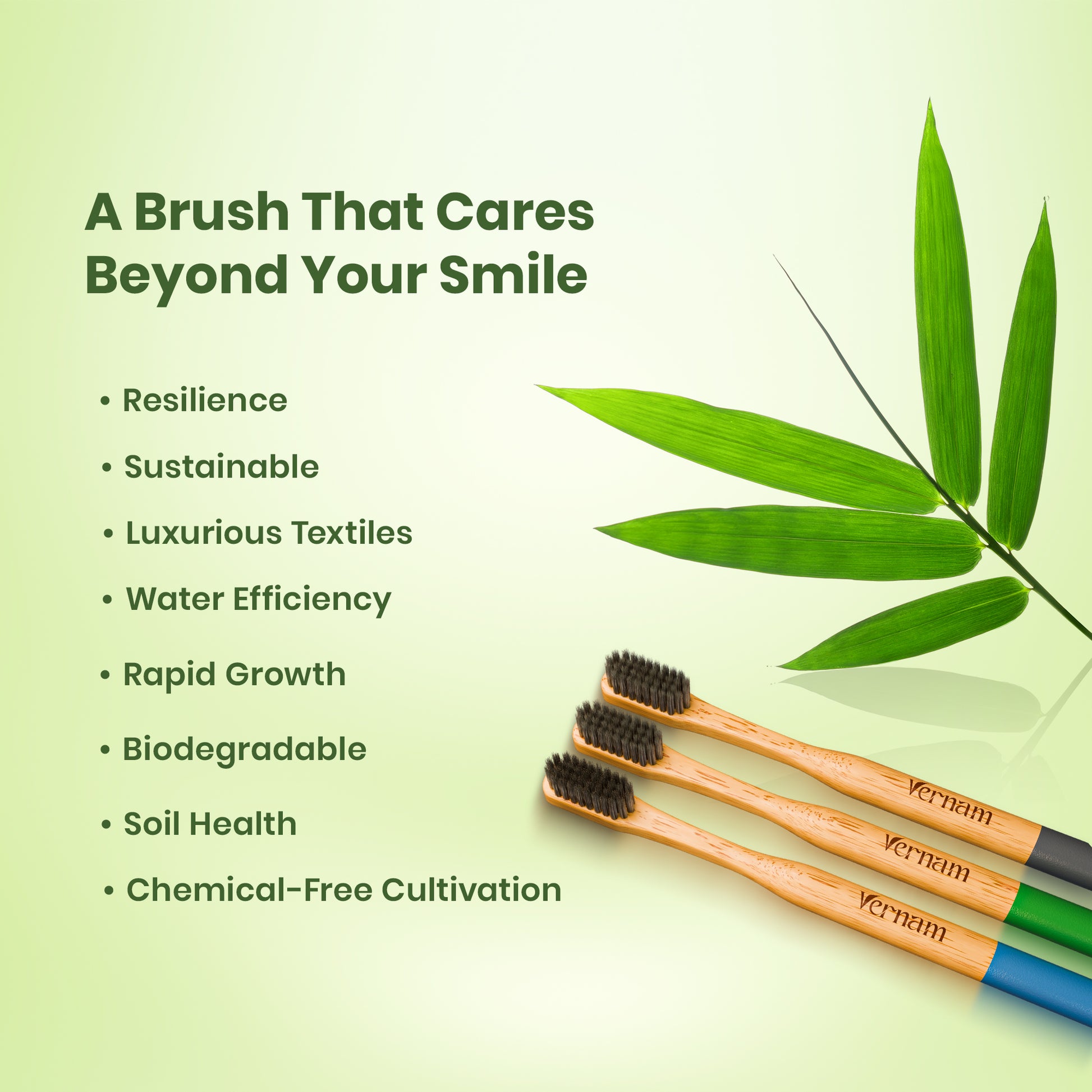 Phoenix Bamboo Charcoal Toothbrush (Pack of 3)