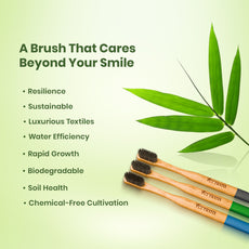 Phoenix Bamboo Charcoal Toothbrush (Pack of 3)