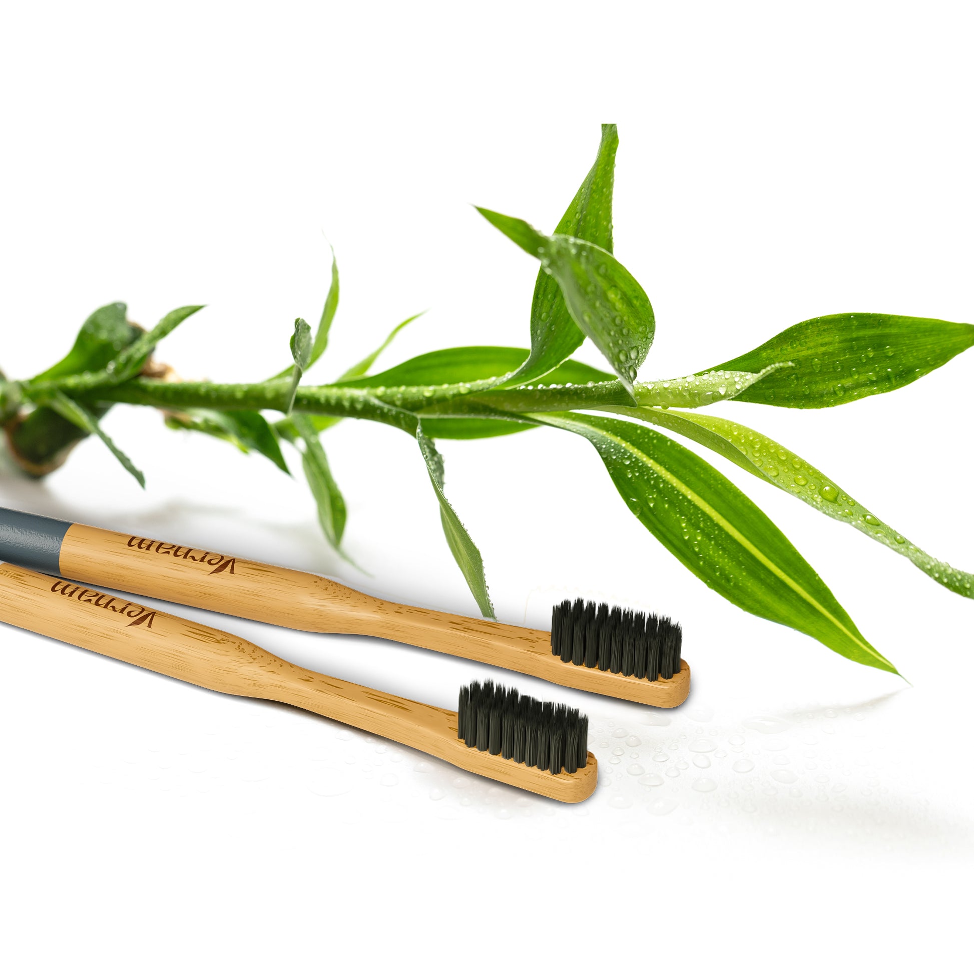 Phoenix Bamboo Charcoal Toothbrush (Pack of 3)