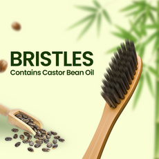ORION Bamboo Charcoal Toothbrush (Pack of 3)