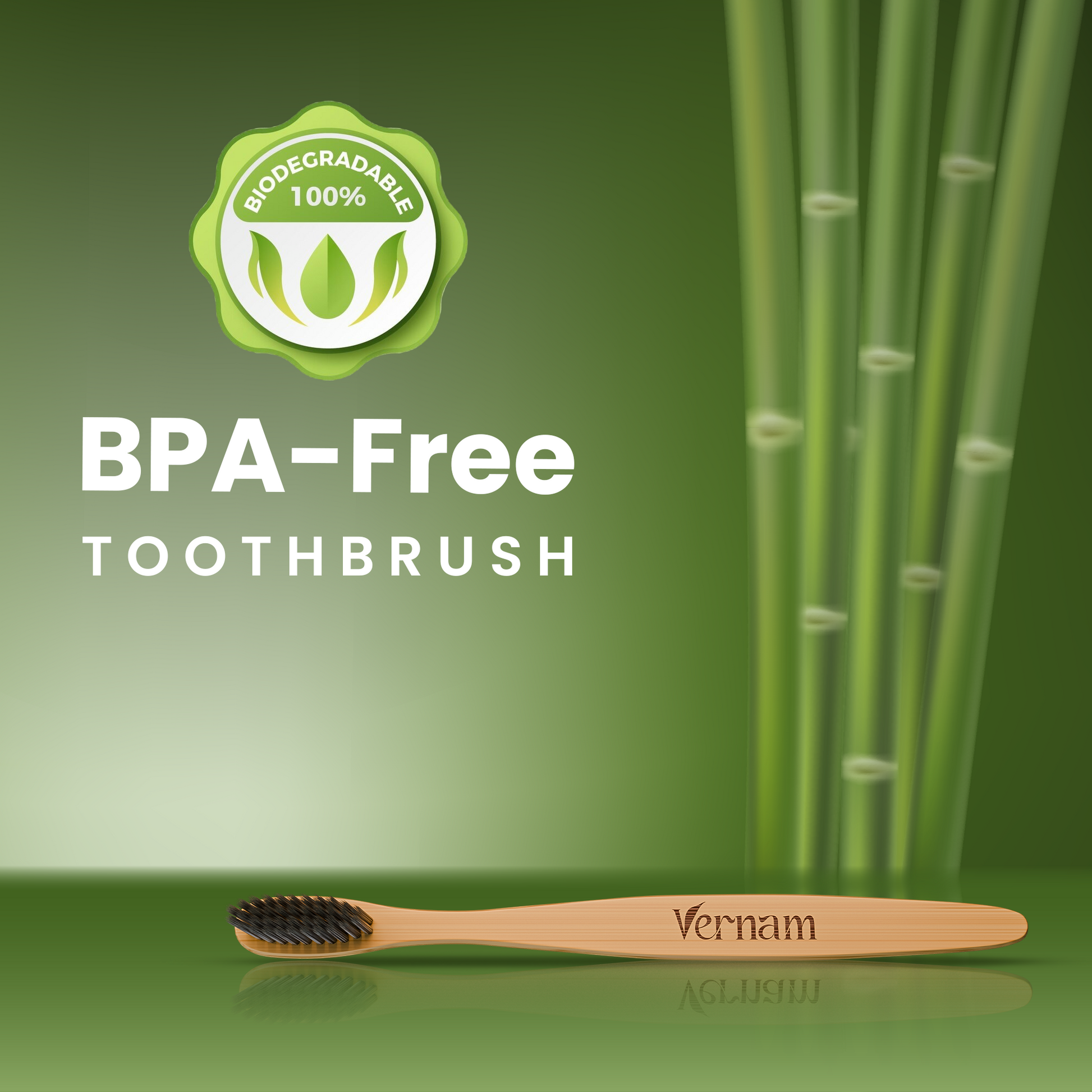 ORION Bamboo Charcoal Toothbrush (Pack of 3)