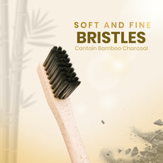 Wheat Straw Corn Starch Toothbrush (Pack of 3)