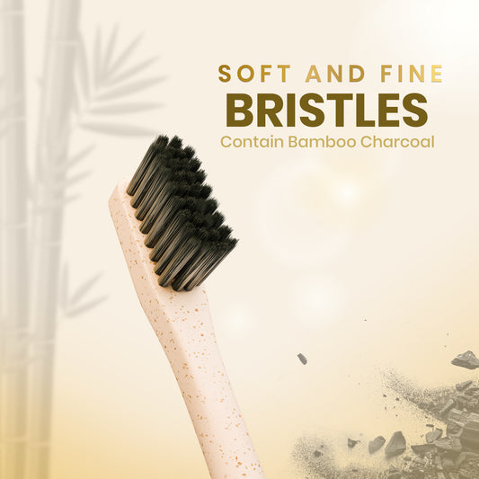 Wheat Straw Corn Starch Toothbrush (Pack of 3)