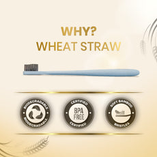 Wheat Straw Corn Starch Toothbrush (Pack of 3)