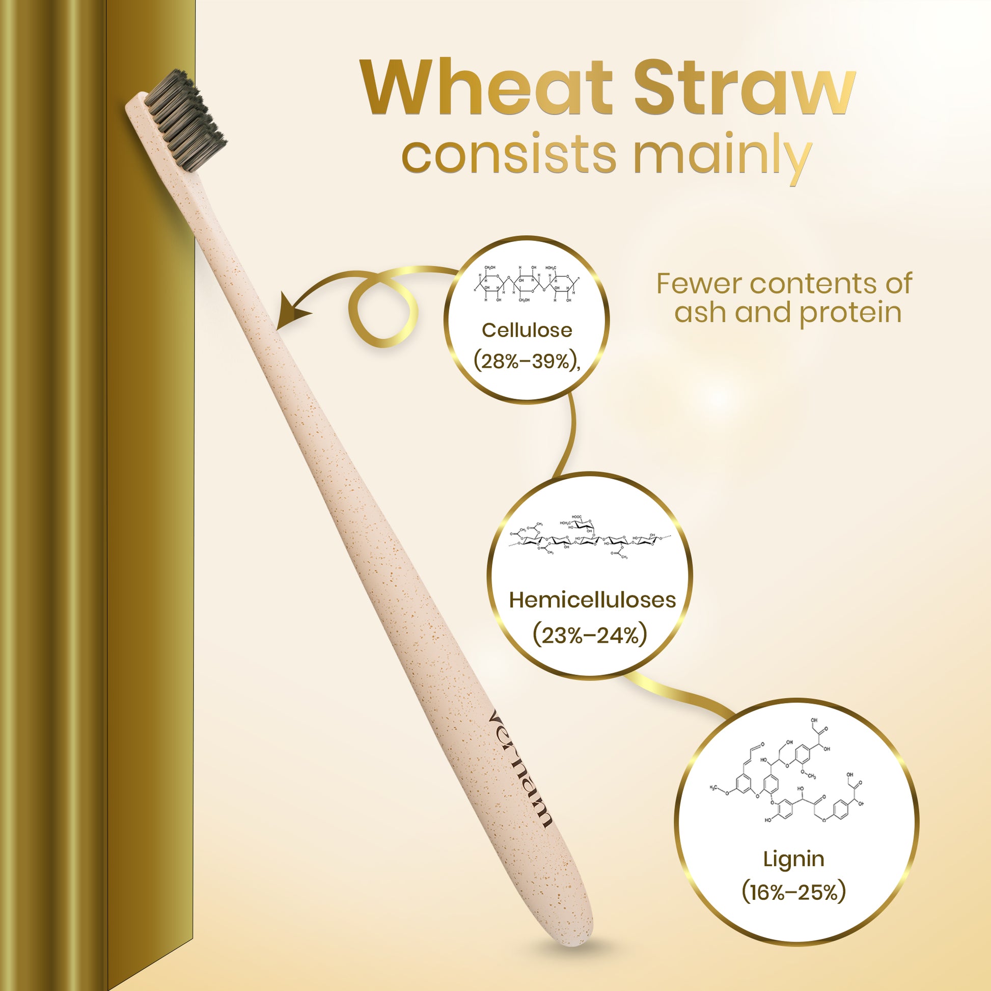 Wheat Straw Corn Starch Toothbrush (Pack of 3)