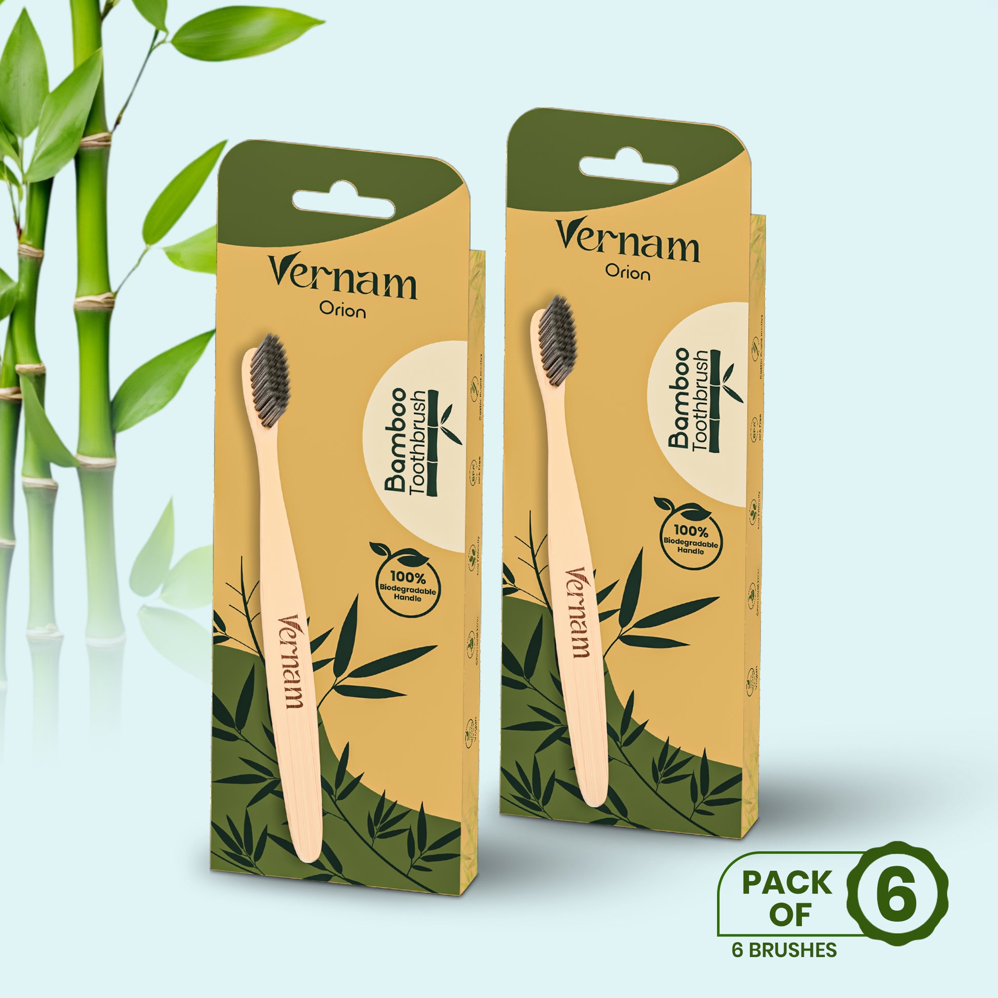 ORION Bamboo Charcoal Toothbrush (Pack of 3)
