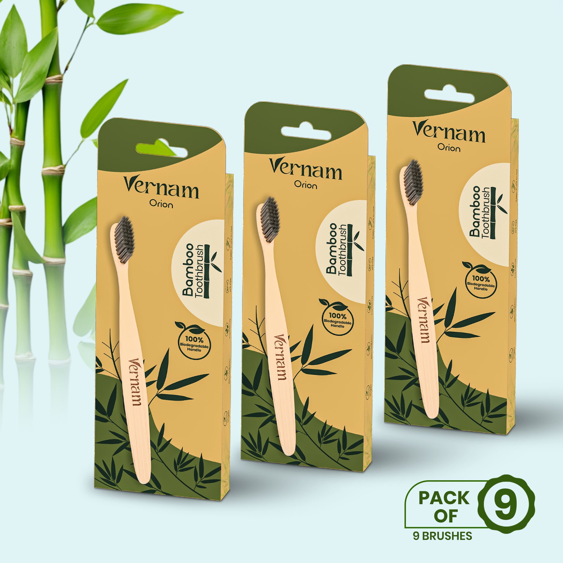 ORION Bamboo Charcoal Toothbrush (Pack of 3)